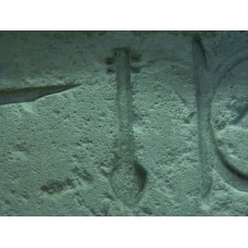 False door of Sheshi, nefer symbol
